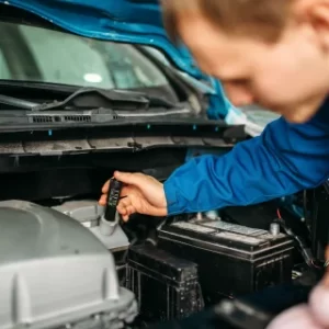 SERVICIO DE PUNTO DE SEGURIDAD