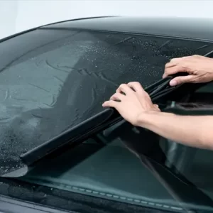 SERVICIO DE PORALIZADO